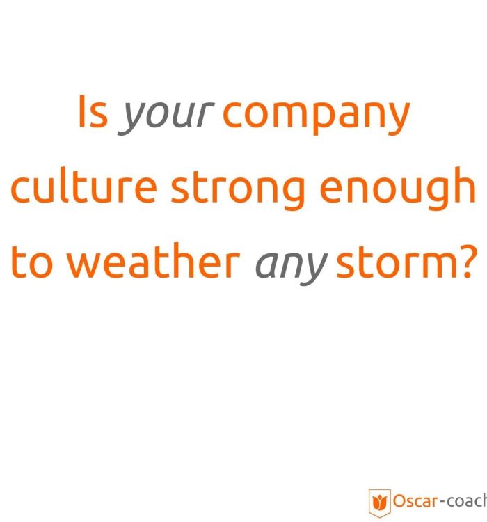 La culture de votre entreprise est-elle suffisamment solide pour résister à toutes les tempêtes ?
